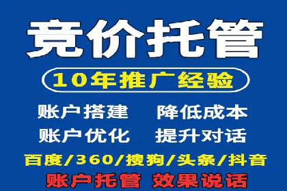 SEM运营推广策略：成功案例解析